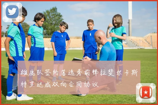雄鹿队签约落选秀前锋拉斐尔卡斯特罗达成双向合同协议