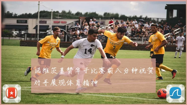 诺维茨基赞华子比赛前八分钟祝贺对手展现体育精神